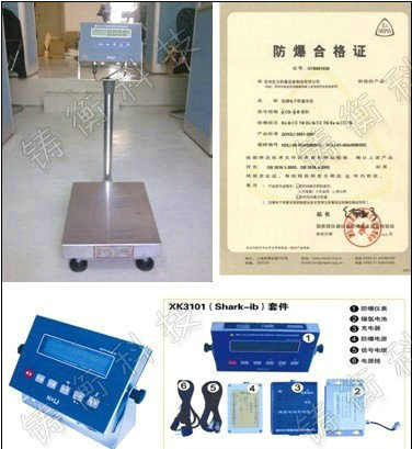 本安防爆式電子臺(tái)秤