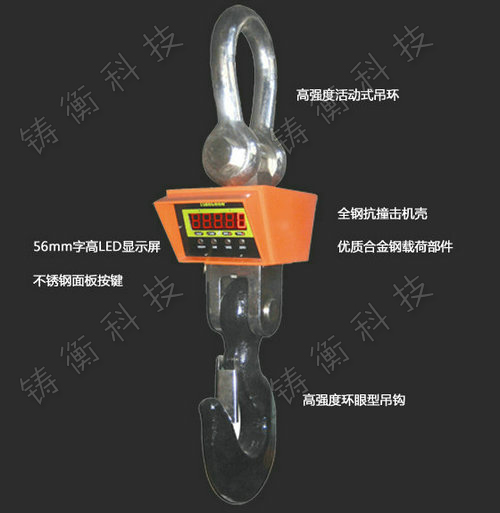 直視吊鉤秤